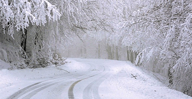 refranes-populares-de-frío