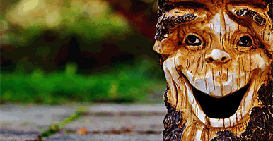 refranes-populares-graciosos