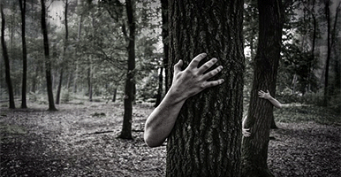 refranes-populares-sobre-el-miedo