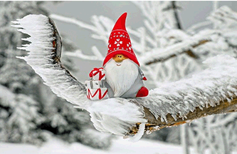 refranes-populares-sobre-la-navidad