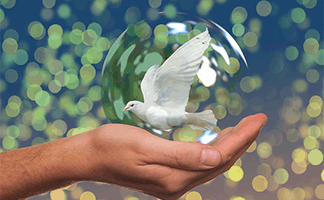 refranes-populares-sobre-la-paz