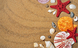 refranes-populares-sobre-el-verano