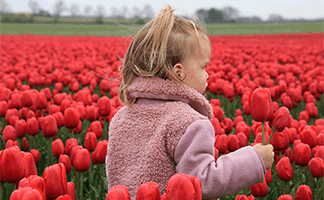 refranes-populares-sobre-la-juventud