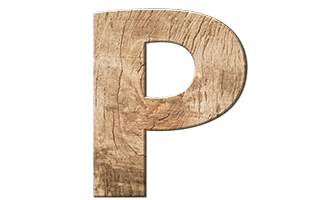 refranes-con-la-letra-p