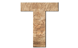 refranes-con-la-letra-t